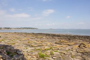 Photo 15- click for photo gallery